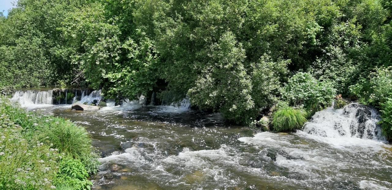 Dream Corner By Waterfalls, 20 Min To Oporto, By Porto With Love Lda Parada  Exterior photo